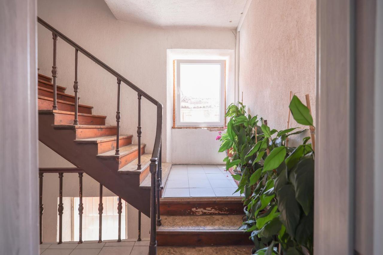 Cozy Studio Cvita Zadar Exteriör bild